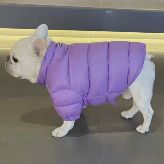 Dopamine-colored thick winter coats|French Bulldogs&Pugs