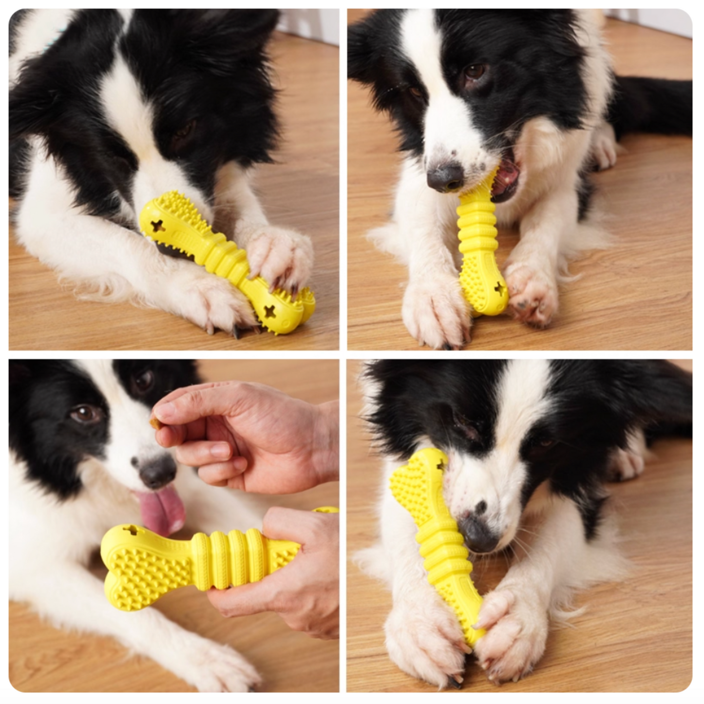 Bones Food Dispenser, pets toys