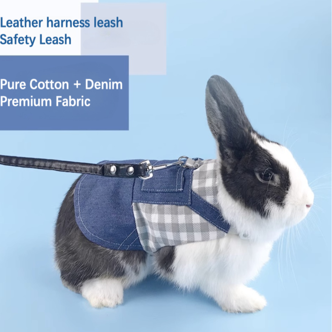 Bunny Walking Harnesses Leashes