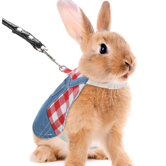 Pet Rabbit Cowboy Outfit Leash