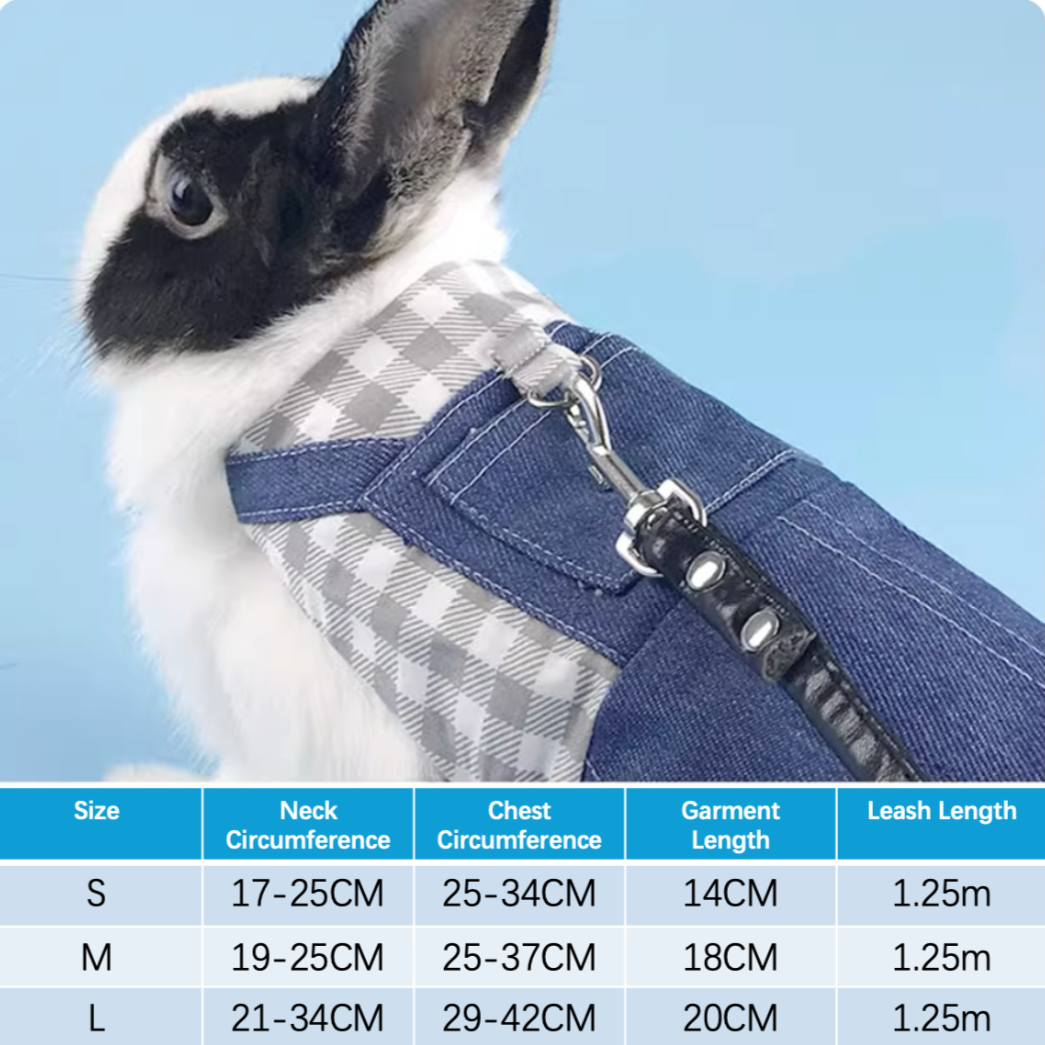 Bunny Walking Harnesses Leashes