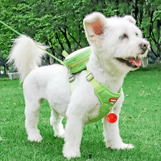 Orange | Lime | Watermelon-Shaped Leash (Creative Backpack)