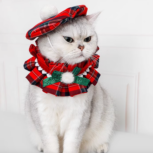 British-Style Pet Bowler Hats, Scarves & Collars