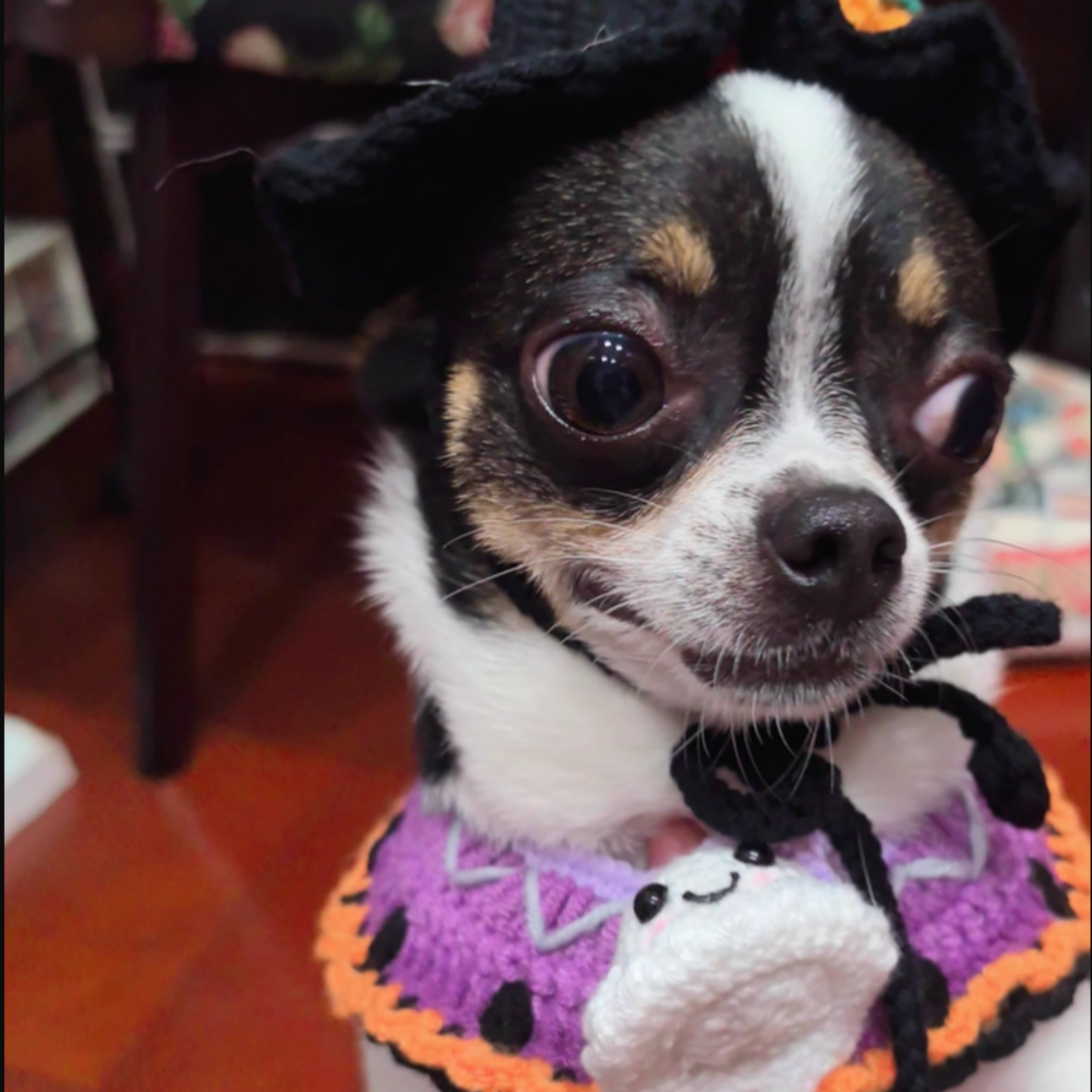 Halloween Pet Decorative Bib and Hat