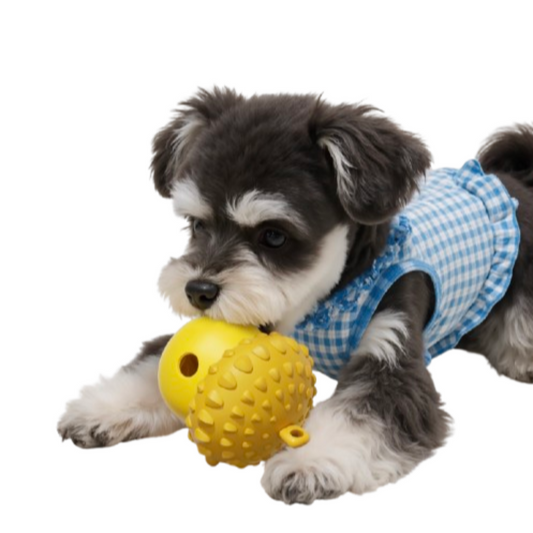 Acorn-Shaped Dog Treat Dispenser Toy | 2 PCS