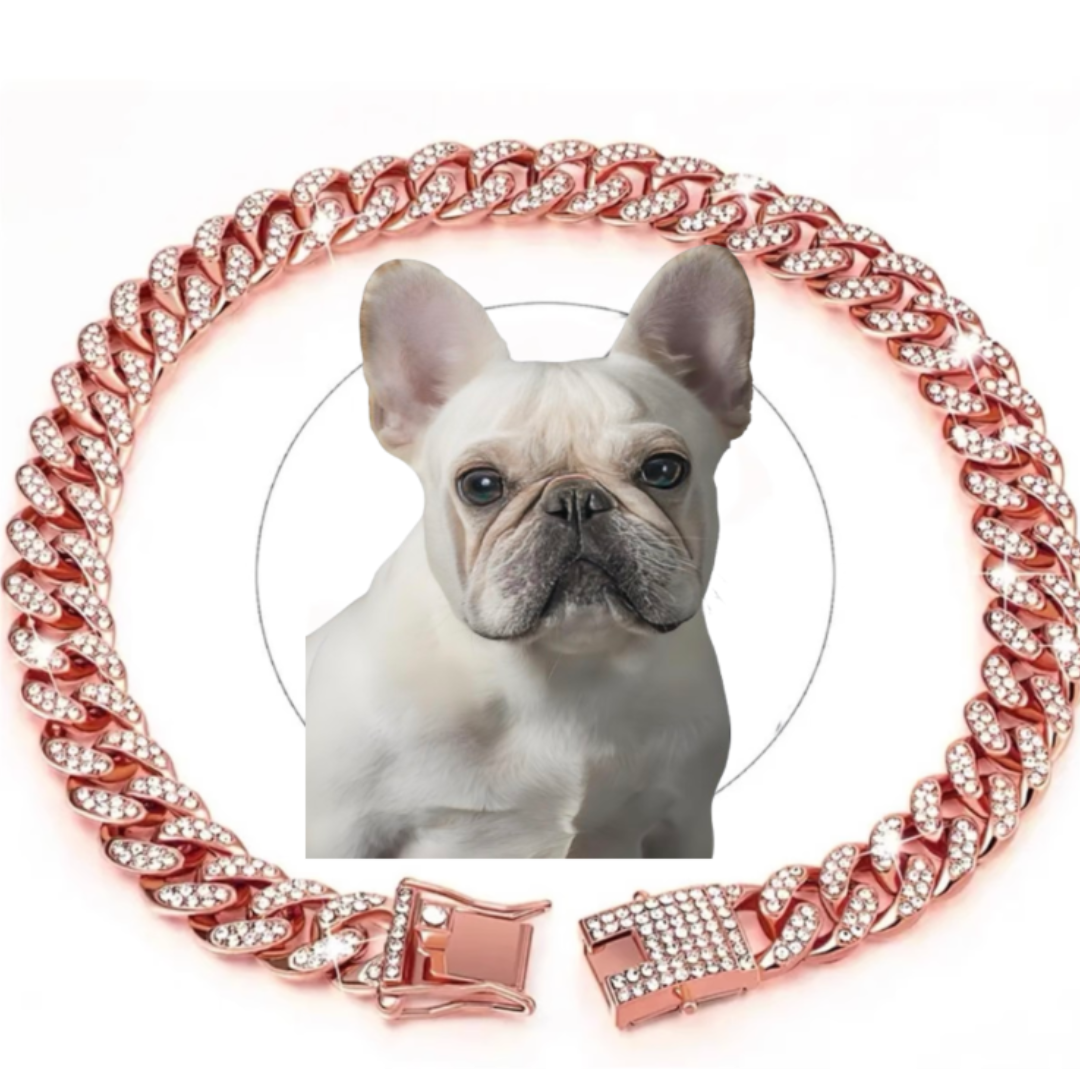 Dog Chain Diamond Cuban Collar