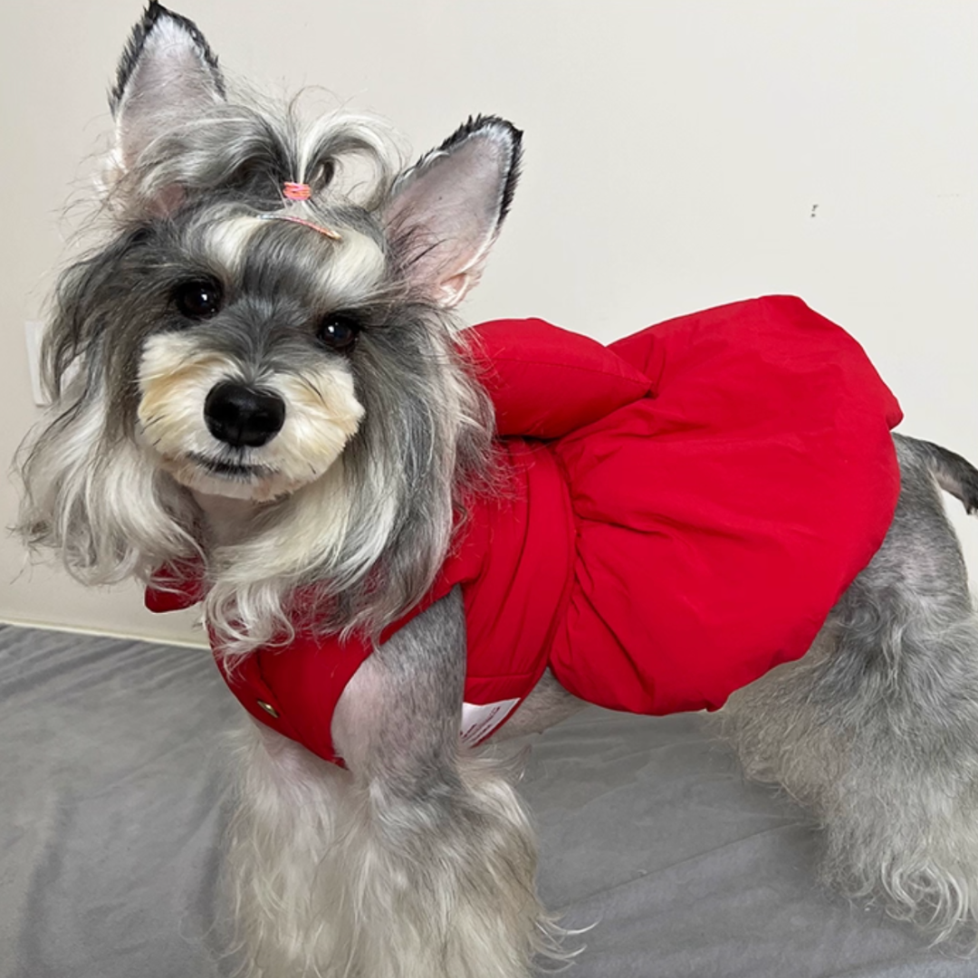 Cherry Soufflé Pet Winter Princess Dress