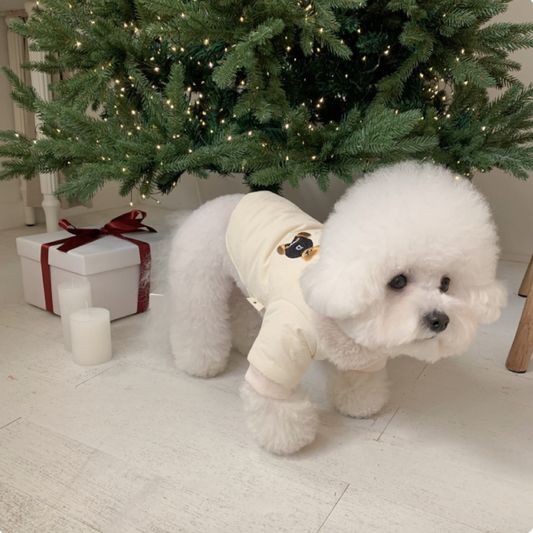 Teddy fur collar warm coat