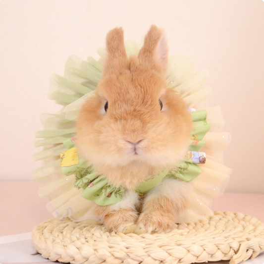 Cute bunny & Guinea pig mesh pearl skirt