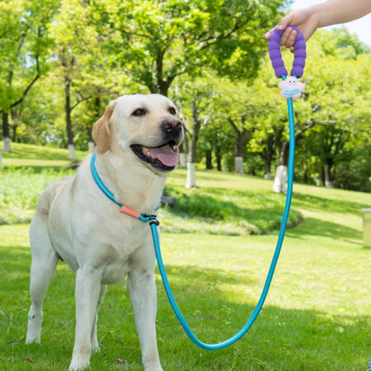 Large-Mouth Doll Decorated Dog Leash for Large Breeds