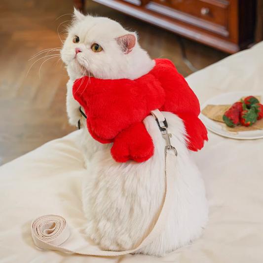 Extra-Large Bow Pet Chest Harness Leash