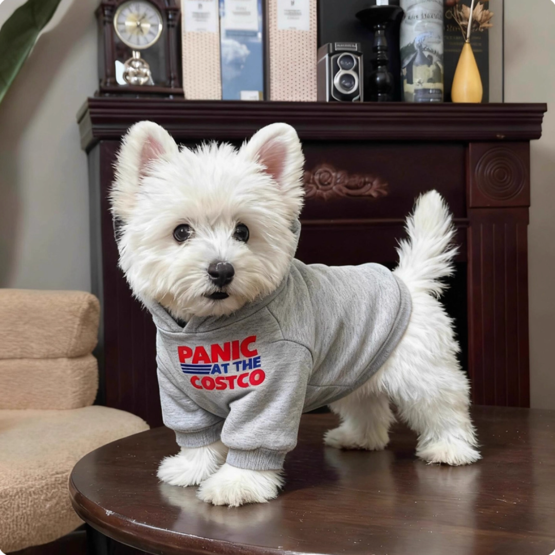 Preppy style fleece-lined sweatshirt