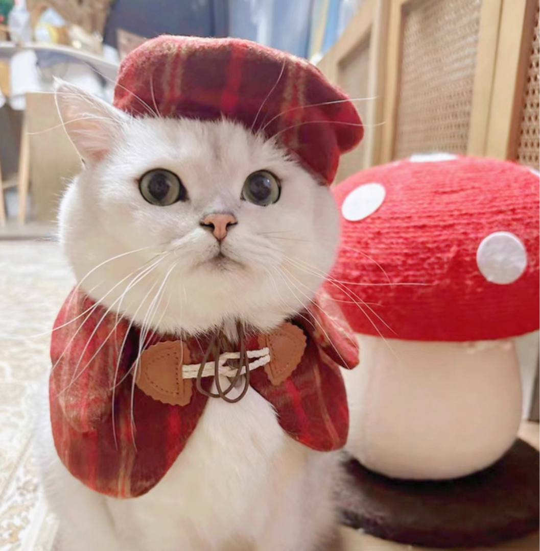 Dog & Cat Checkered Bibs and Hats – Christmas Outfits