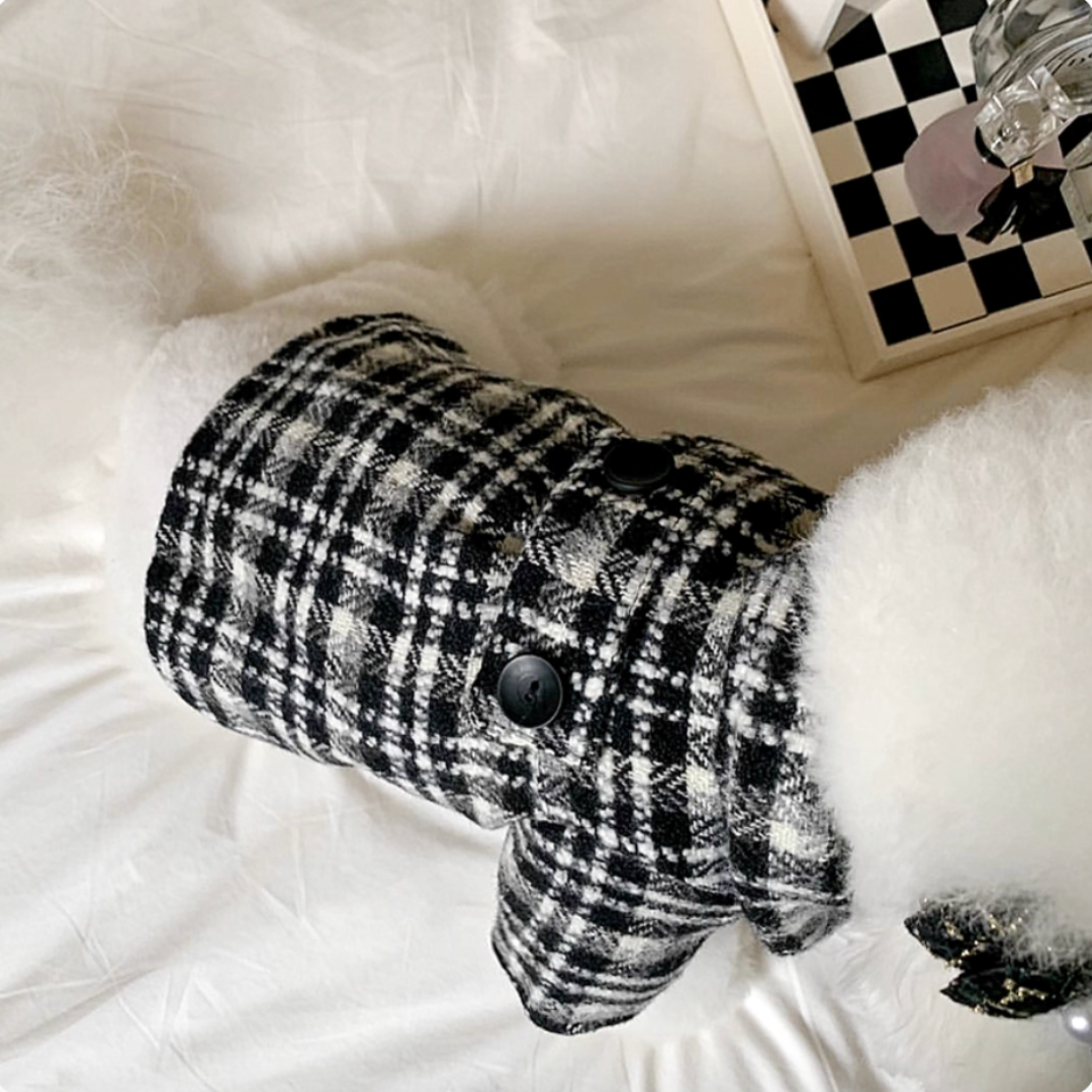 Puppy Couple Outfits: Black and White Checkered Shirt & Dress