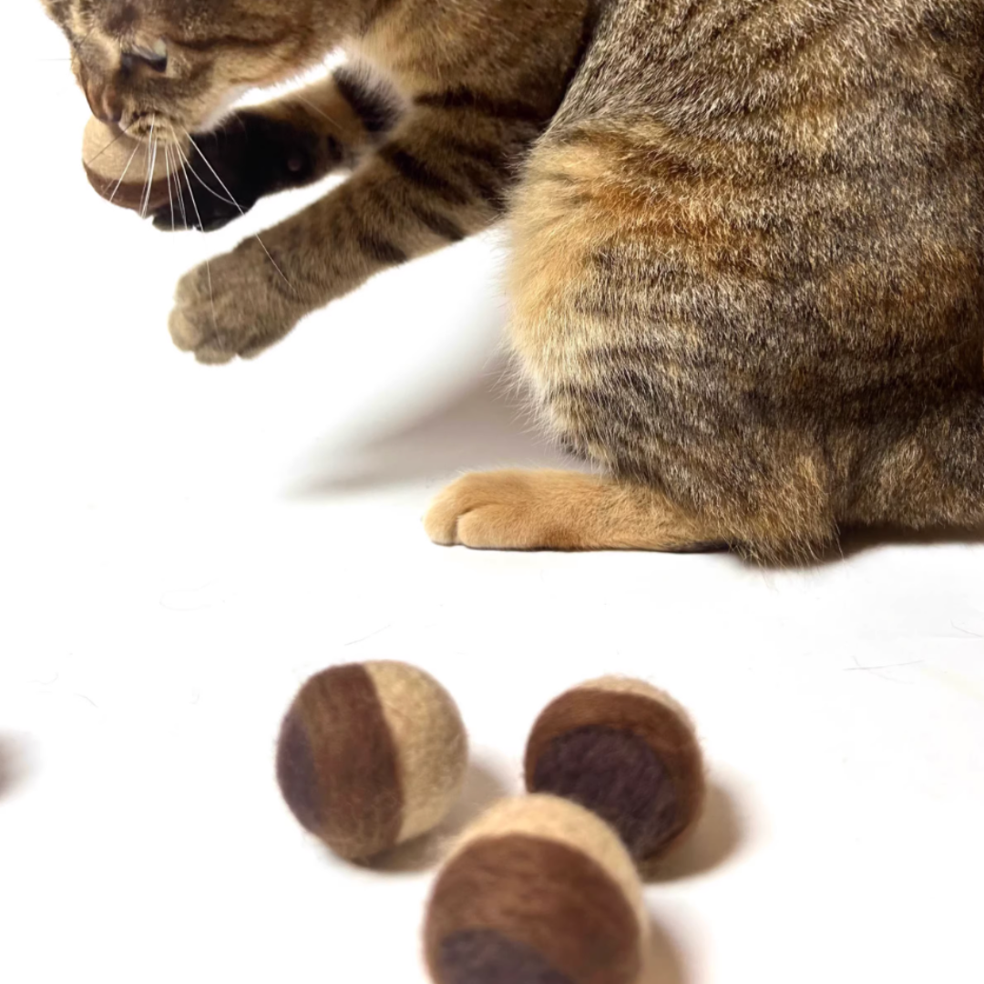 Cat wool felted ball toy set(Lemon, Pinecone)
