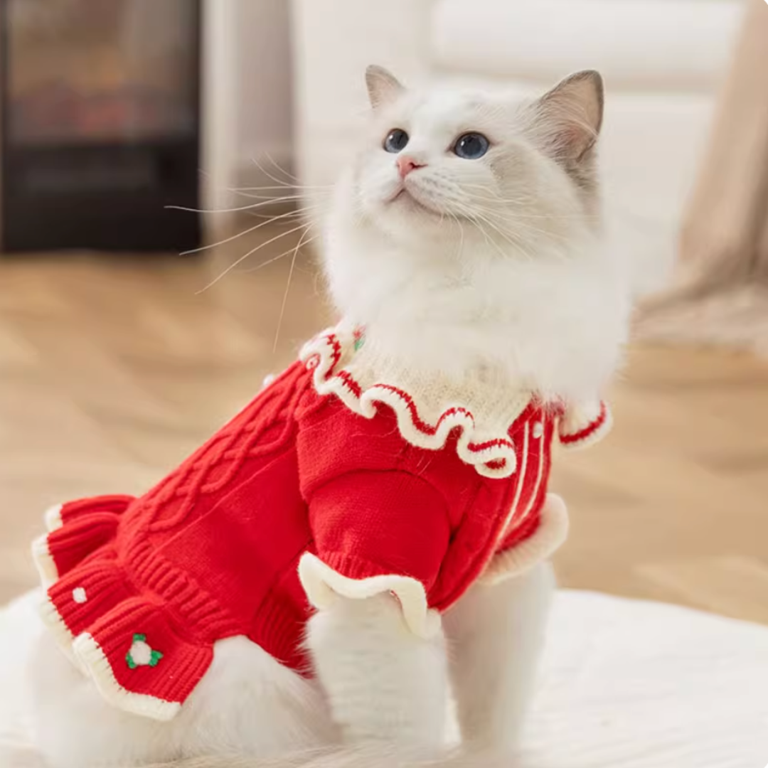 Red floral embroidered knit dress