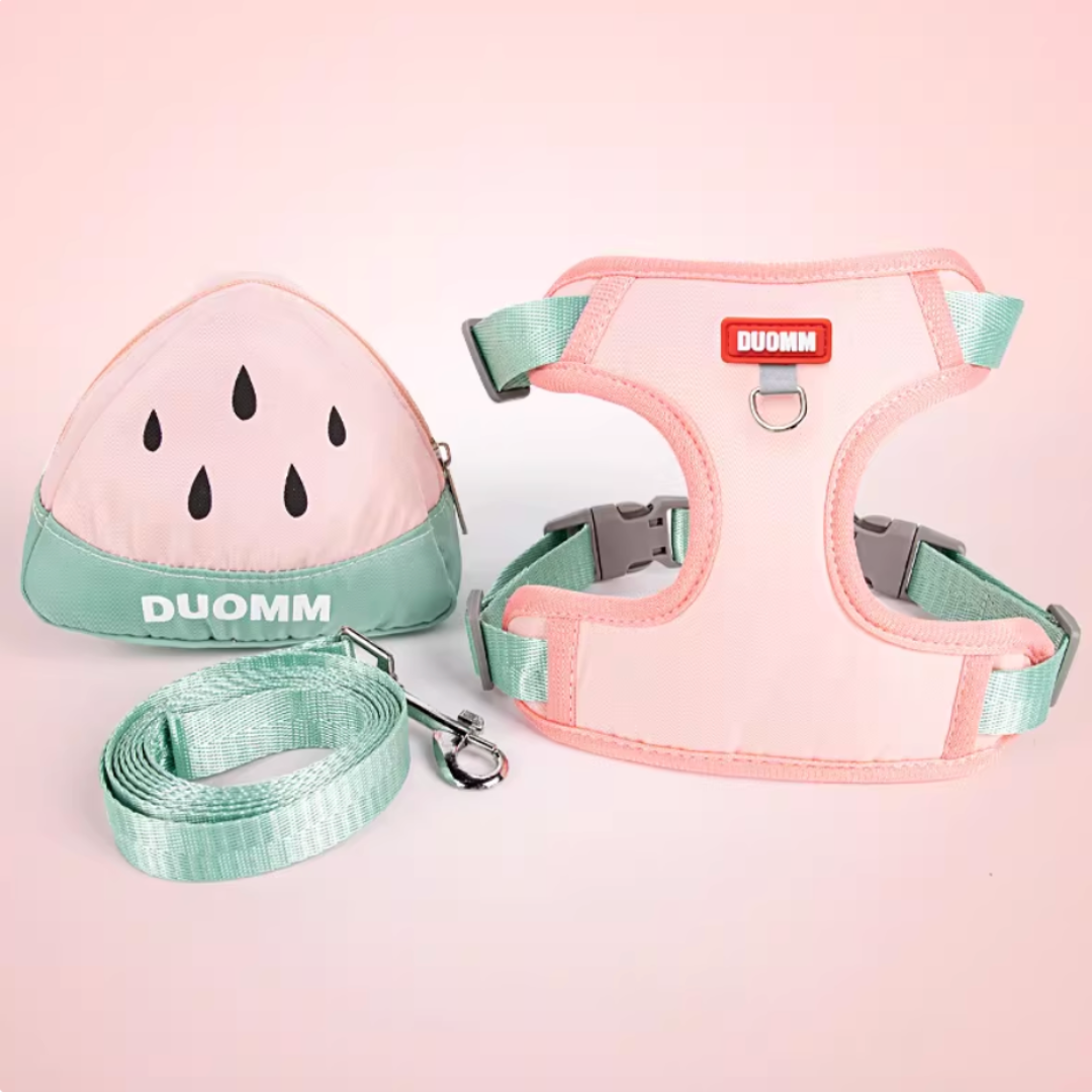 Orange | Lime | Watermelon-Shaped Leash (Creative Backpack)