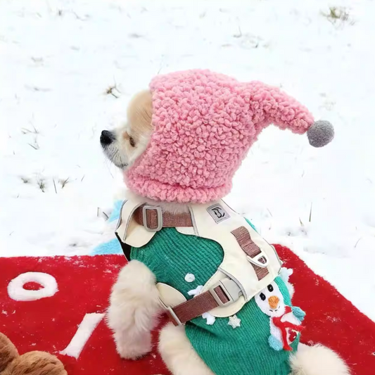 Dog & Cat Winter Warmth Outdoor Fun Wiz Hat