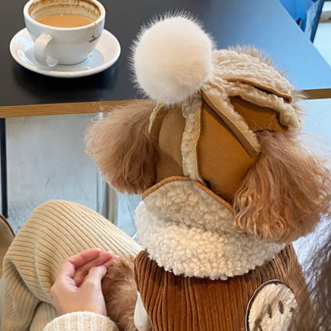 Adjustable Windproof and Warm Hats for Cats & Dogs