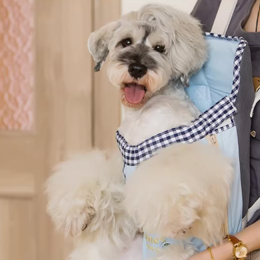 Fruit|Hand Series Pet Chest Multifunctional Harness & Handbag