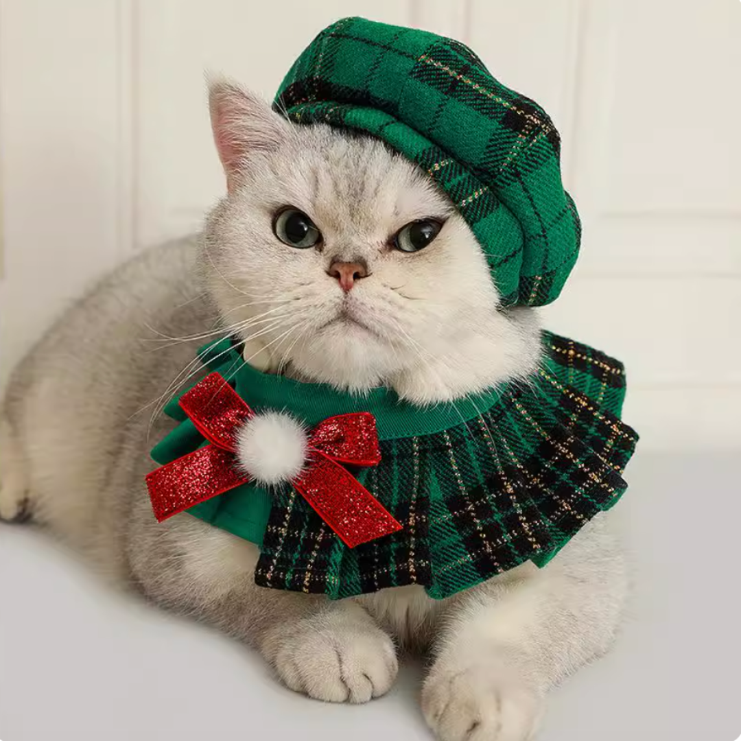 British-Style Pet Bowler Hats, Scarves & Collars