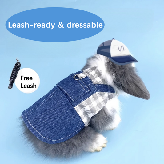 Bunny Walking Harnesses Leashes