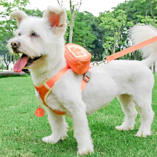 Orange | Lime | Watermelon-Shaped Leash (Creative Backpack)