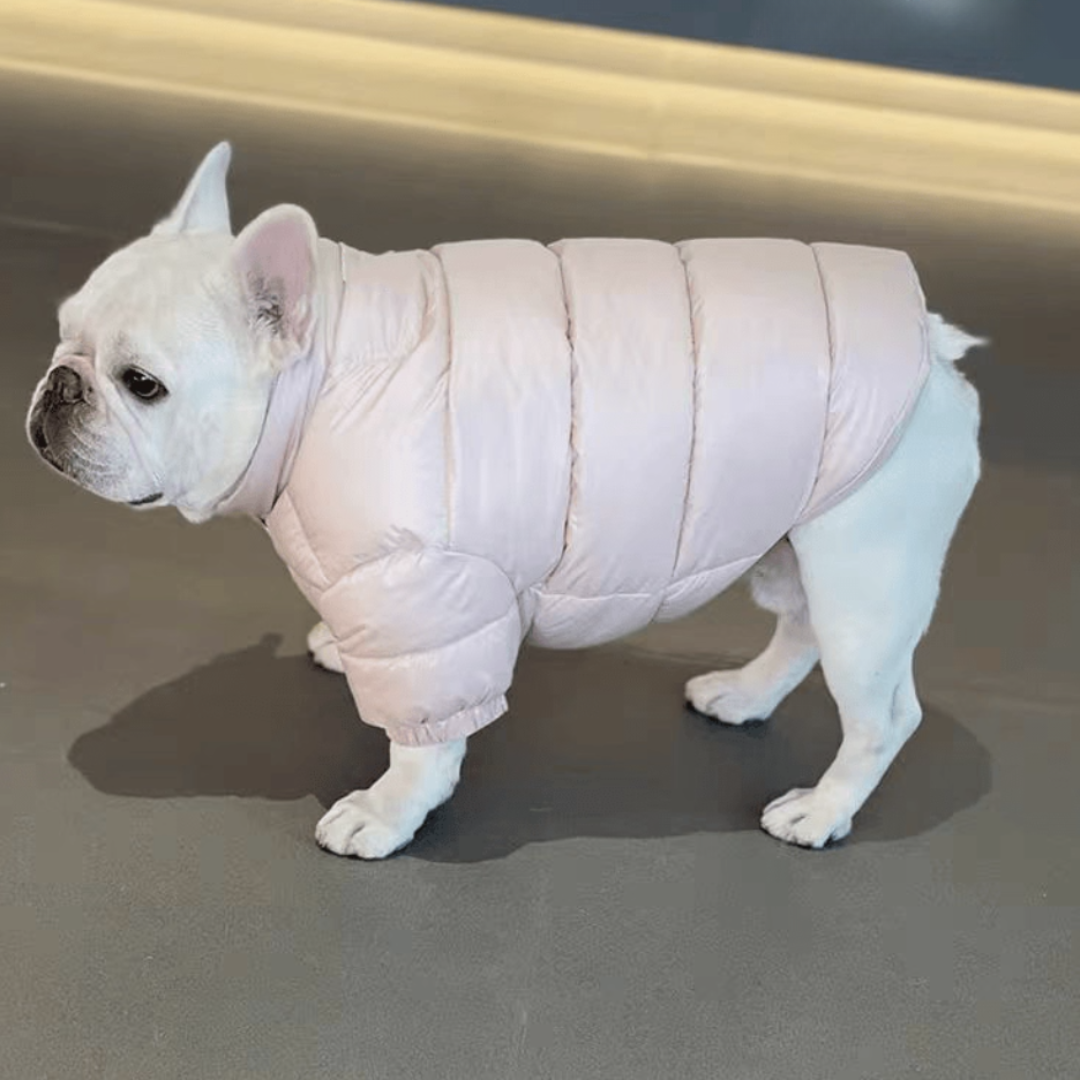Dopamine-colored thick winter coats｜French Bulldogs&Pugs