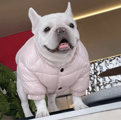 Dopamine-colored thick winter coats｜French Bulldogs&Pugs