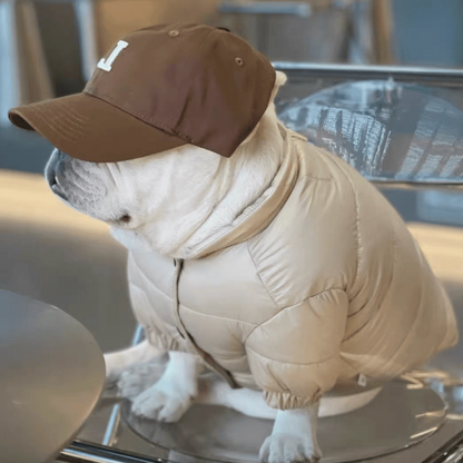 Dopamine-colored thick winter coats｜French Bulldogs&Pugs