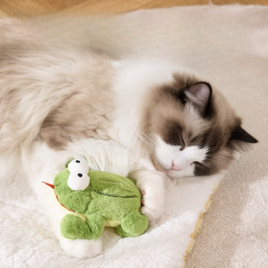 Electric Frog Teething Toy for Kittens