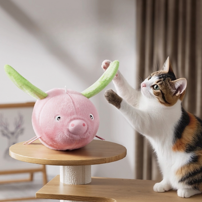 Electric Flying Pig Cat Entertainment Toy