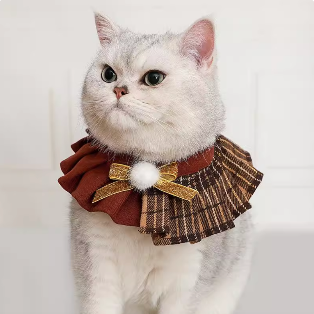British-Style Pet Bowler Hats, Scarves & Collars