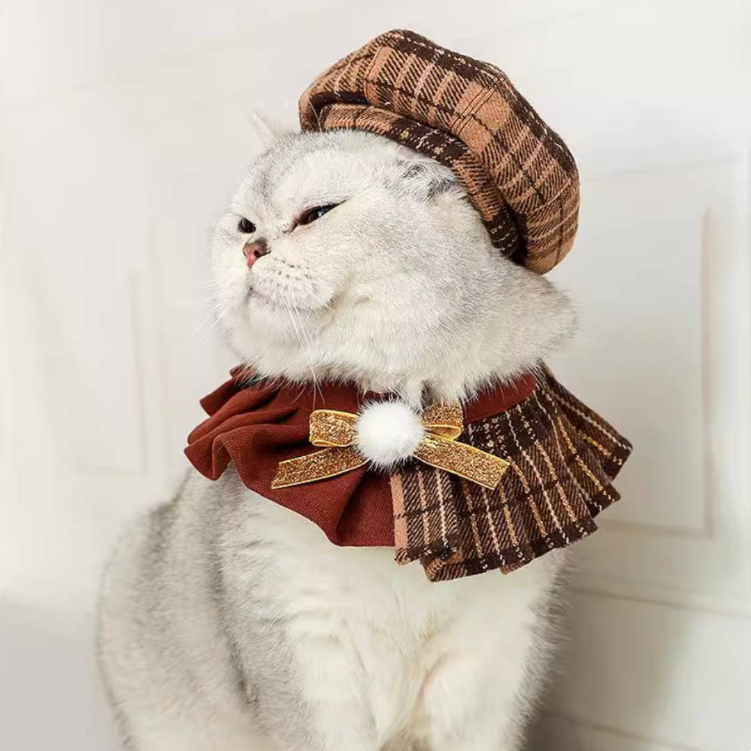 British-Style Pet Bowler Hats, Scarves & Collars