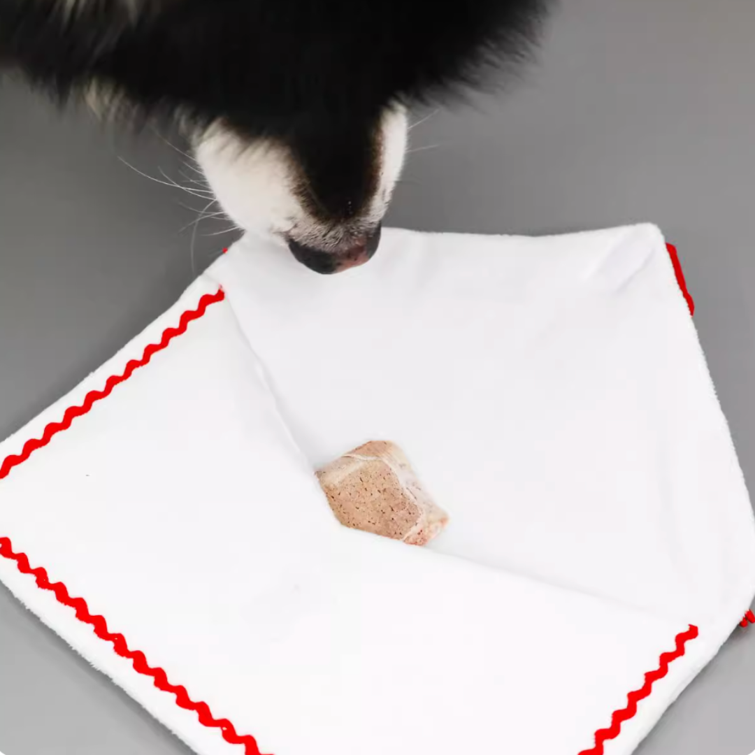 Pet scarves with crinkle paper in envelopes