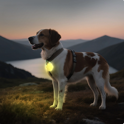 The Ultimate Nighttime Dog Walking Companion（Pinecone+Paw）