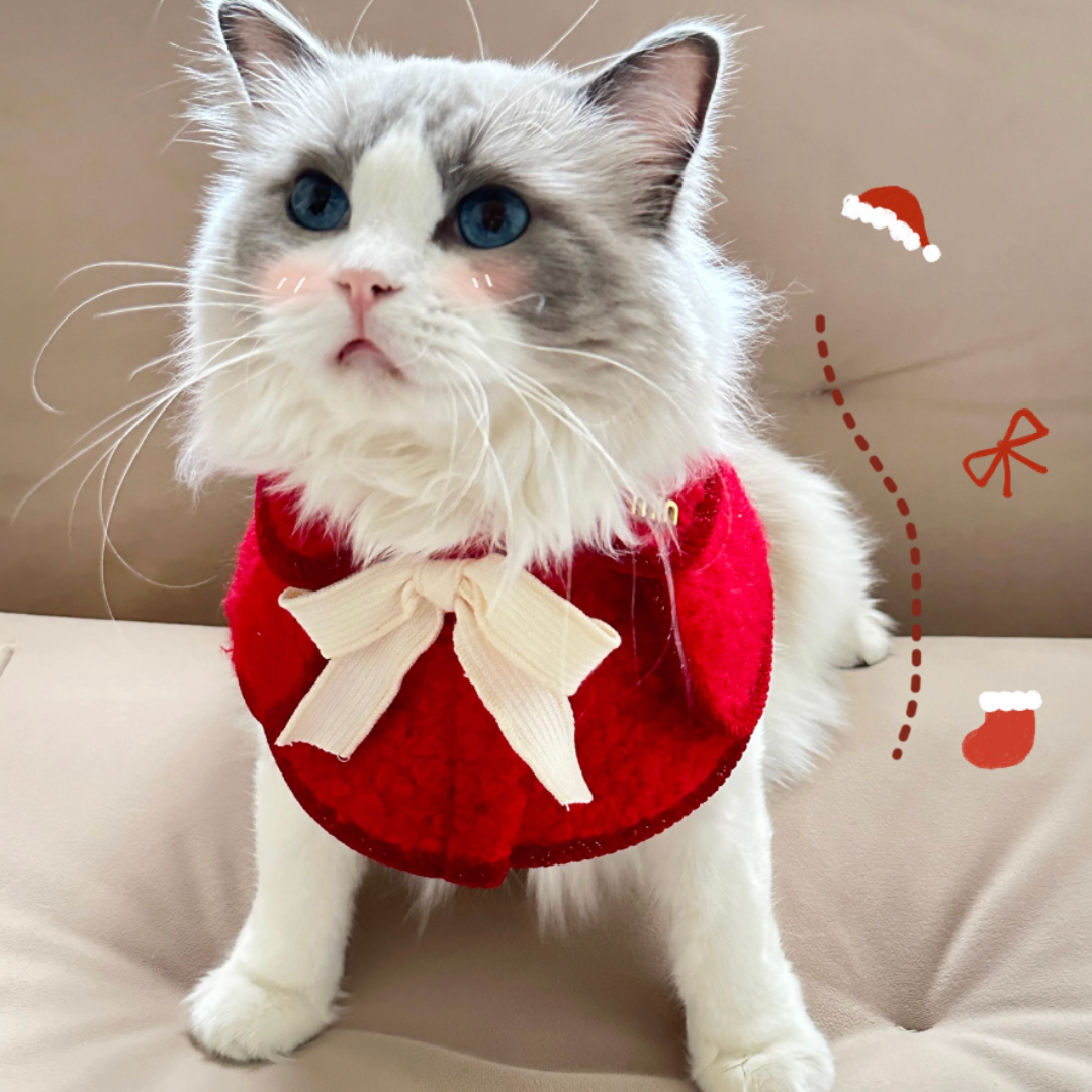 Christmas Outfit Pet Bow Tie Cape