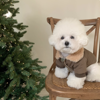 Teddy fur collar warm coat