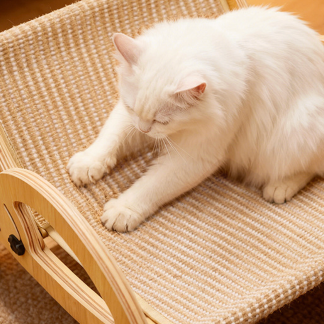 All-Season Cat Scratcher Sofa – Wooden Cat Bed with Adjustable Backrest & Sisal Scratching Surface