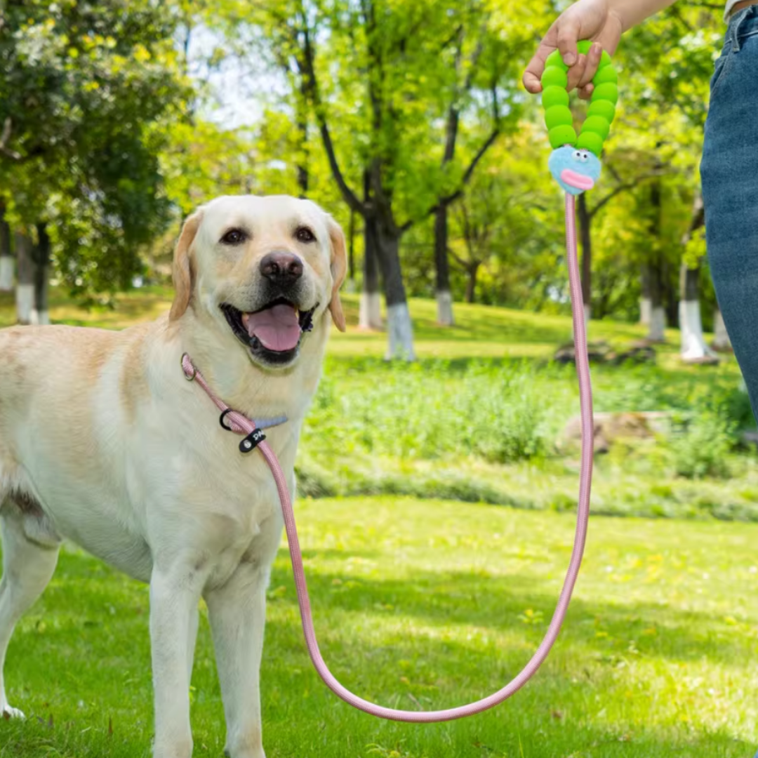 Large-Mouth Doll Decorated Dog Leash for Large Breeds