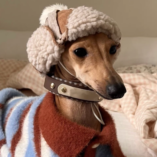 Adjustable Windproof and Warm Hats for Cats & Dogs