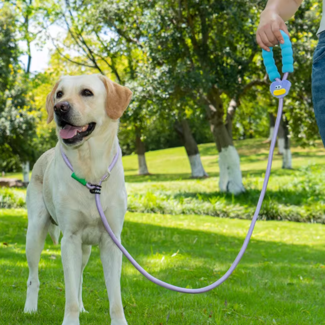 Large-Mouth Doll Decorated Dog Leash for Large Breeds