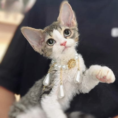 Luxury niche gemstone pearl cat and dog necklace