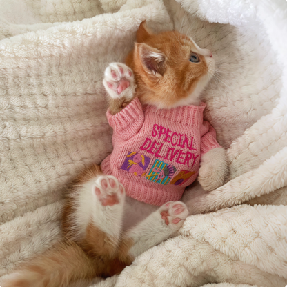Puppy&Kitten Barbie Pink Sweater