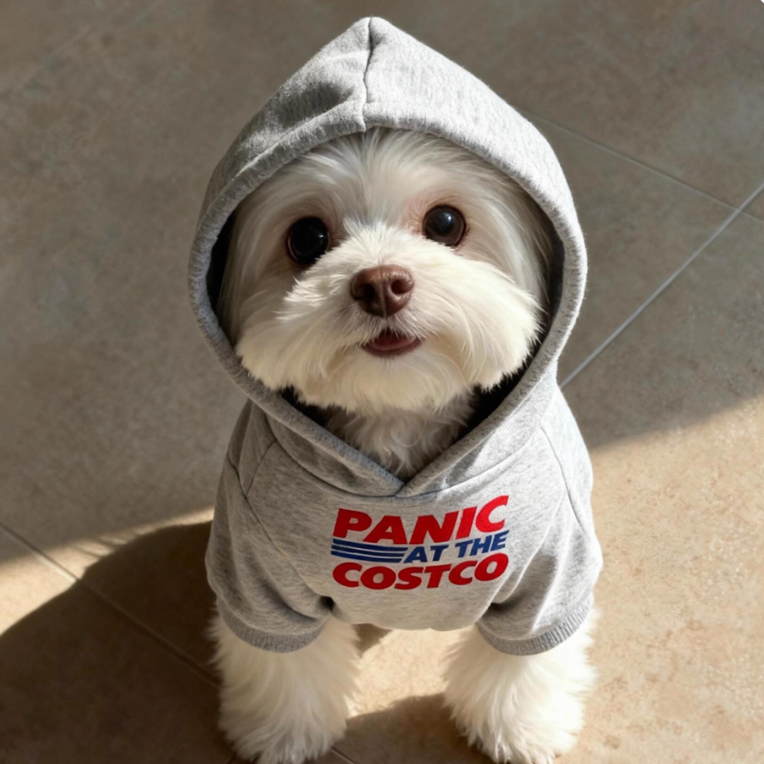 Preppy style fleece-lined sweatshirt