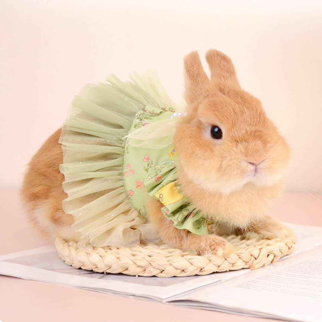 Cute bunny & Guinea pig mesh pearl skirt