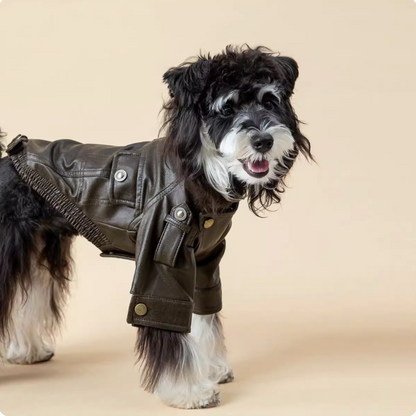 Small dog motorcycle leather jacket warm coat