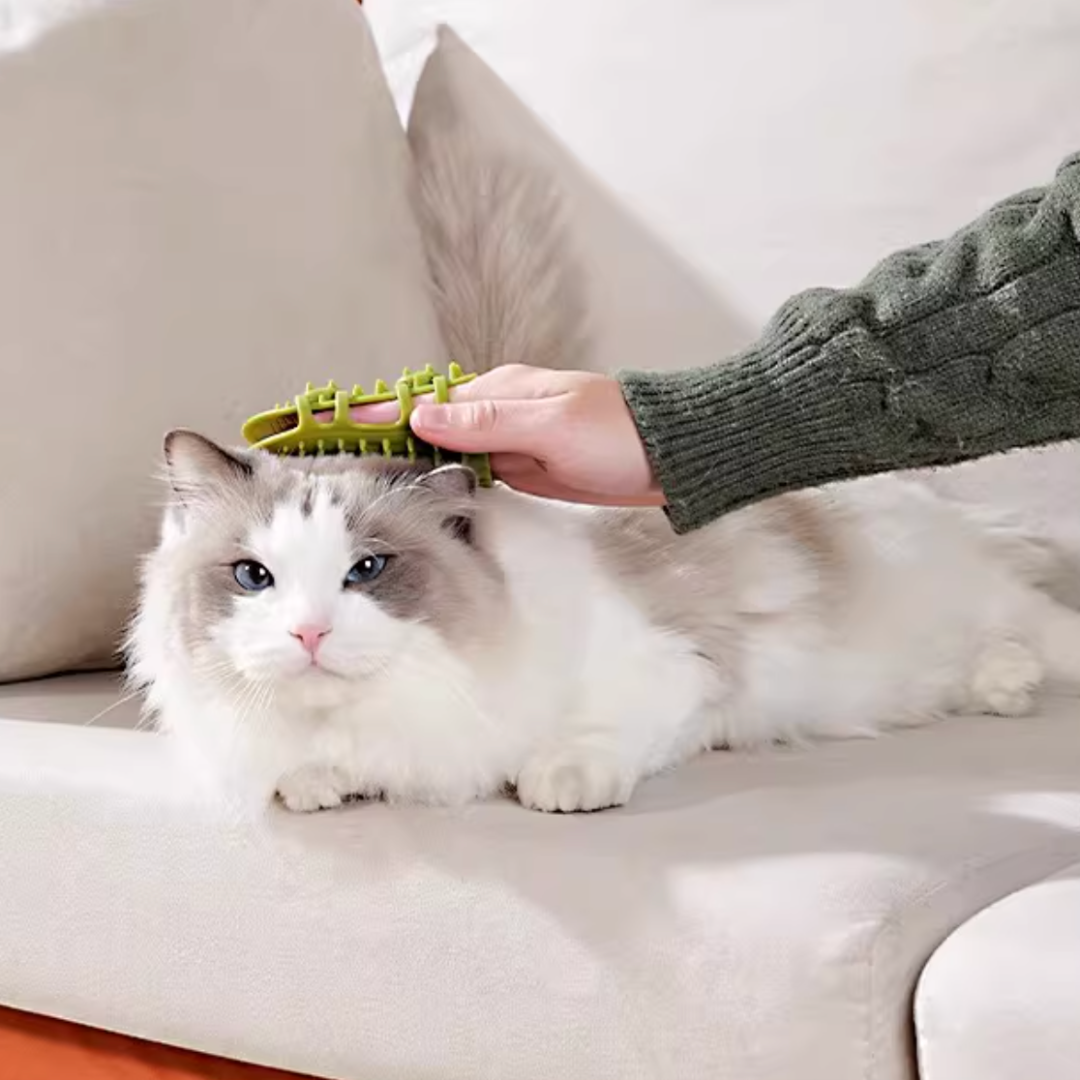 Cat Self Groomer Corner Scratcher｜ 2-pack