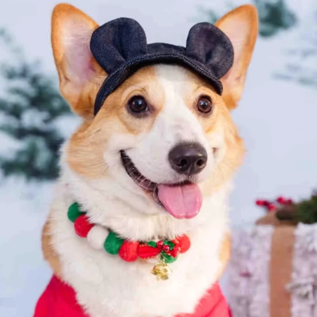 Pet adjustable ear-exposing sun hat