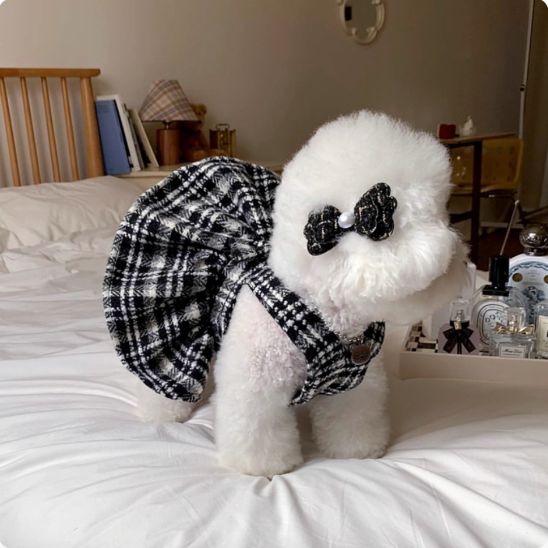 Puppy Couple Outfits: Black and White Checkered Shirt & Dress
